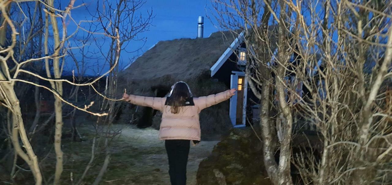 Þingvellir Golden Circle Cottage Veithilundur 外观 照片